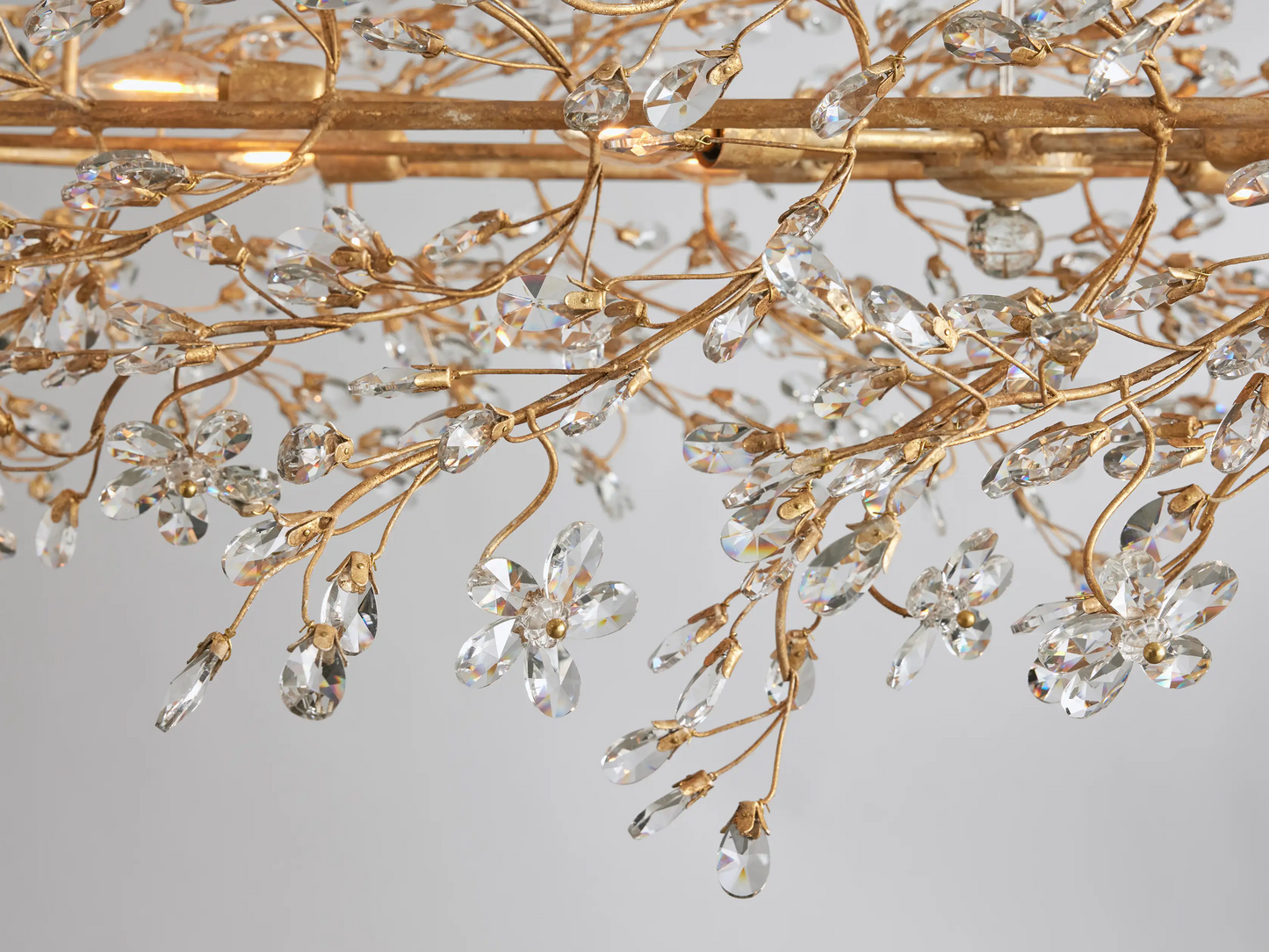 Biore Oval Chandelier