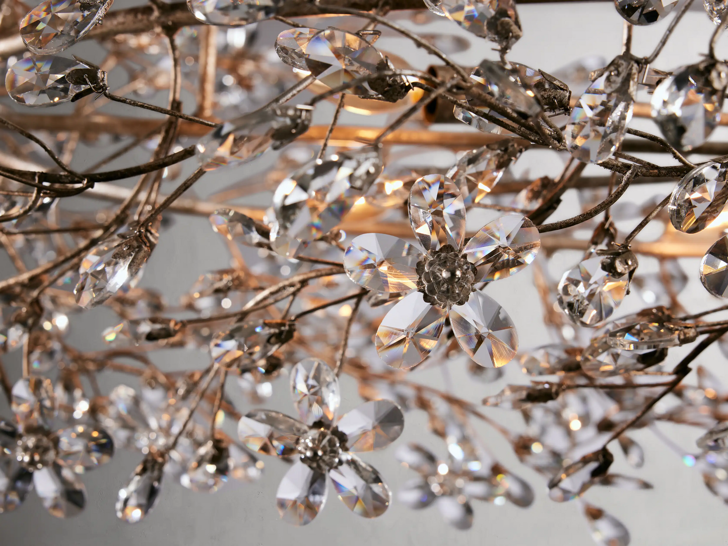 Biore Oval Chandelier