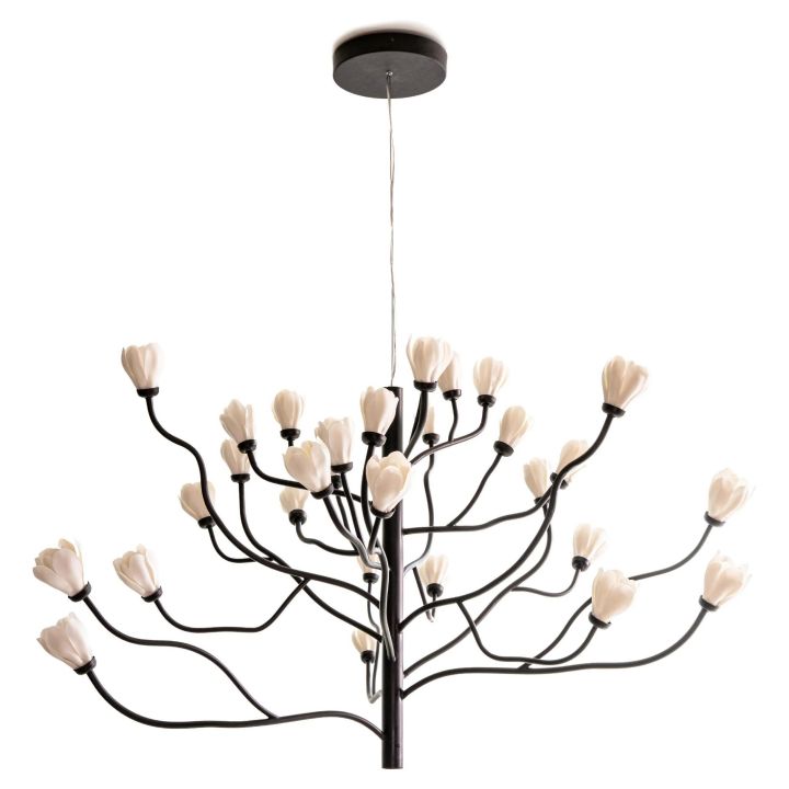 Cokuren Chandelier