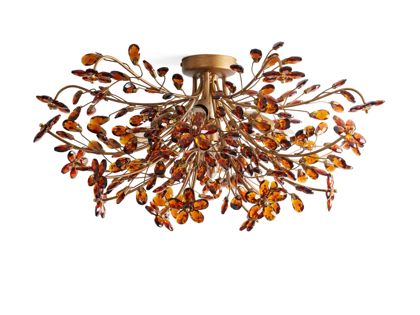 Biore Flush Mount
