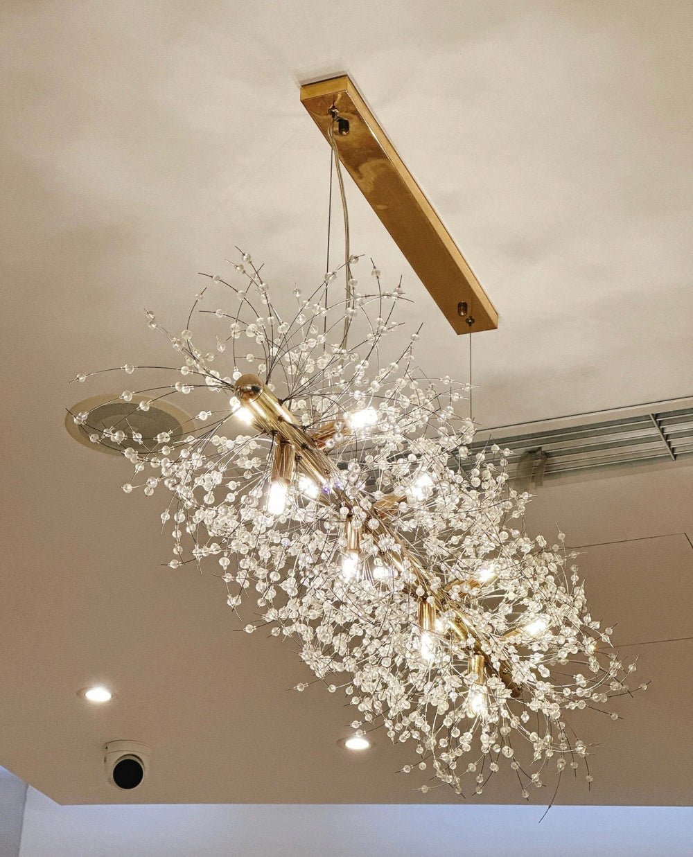 Dandelion Crystal Chandelier Light Firefly/ Glowworm Hanging Lamp Pendant For Rectangle Dining Room - Lightings Menu